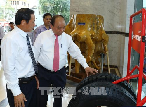 Thủ tướng Nguyễn Xuân Phúc thăm, làm việc với Tập đoàn Cao su Việt Nam ảnh 2